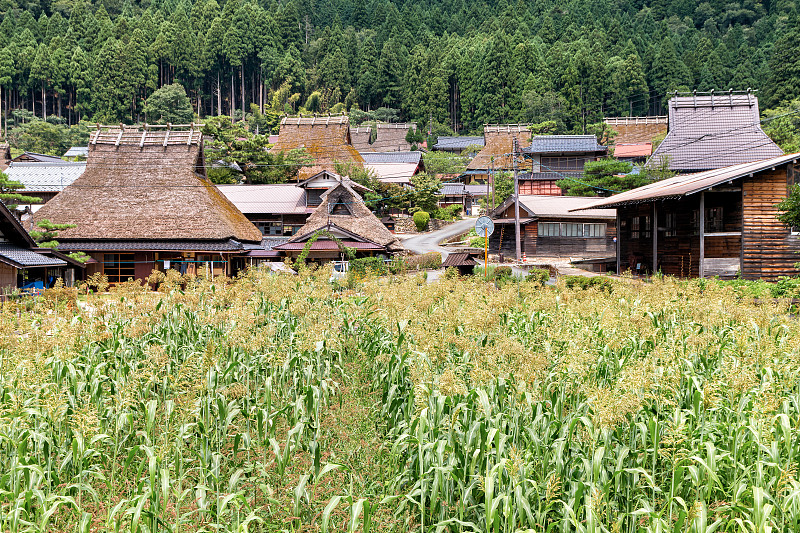 日本京都农村地区的Miyama区