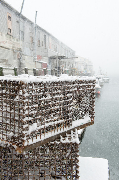 缅因州一场暴风雪期间，龙虾被困在码头上