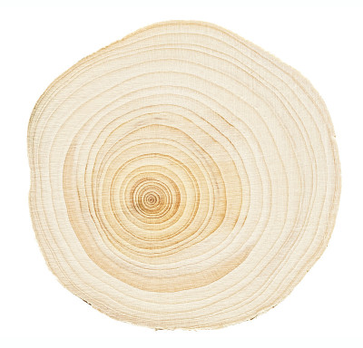 木环