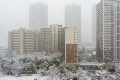 东京的雪