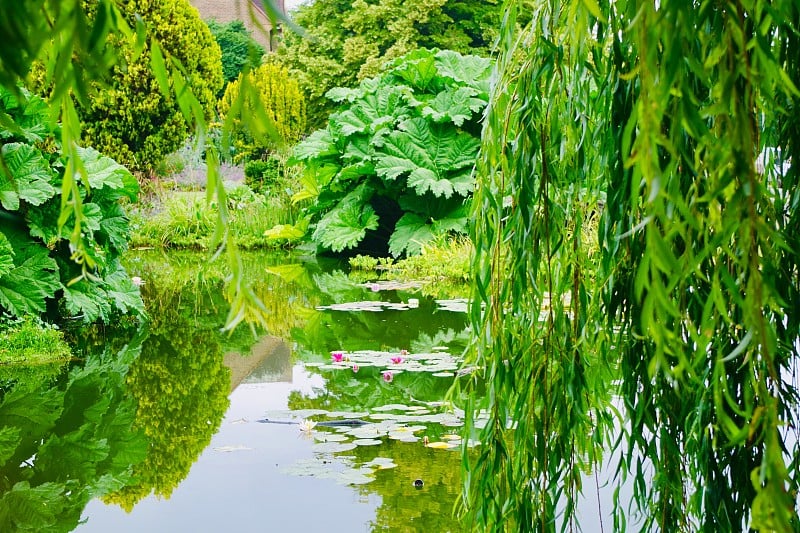 在当地公园的池塘和瀑布旁的传统英国自然