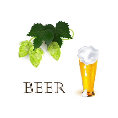 向量现实啤酒符号对象集