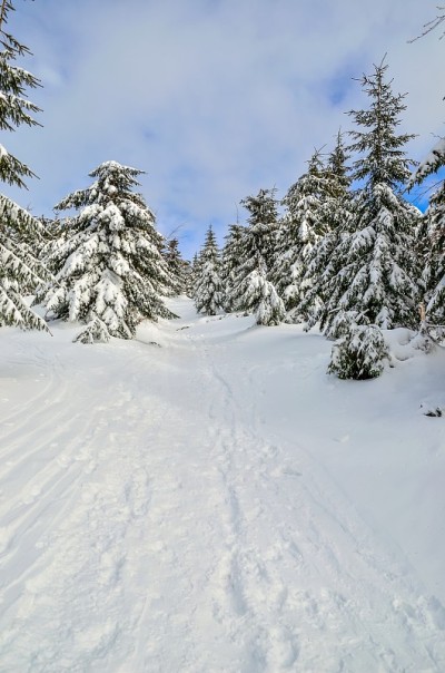 美丽的雪白色的山景。