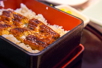 云菜，飞鱼，日本菜，烤鳗鱼饭，鳗鱼碗
