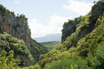 山Arkadia