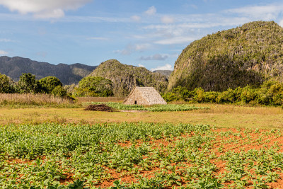 古巴的Vinales风景。