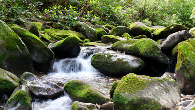 风景