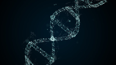 扫描DNA结构设计出遗传粒子和阿尔法通道。
