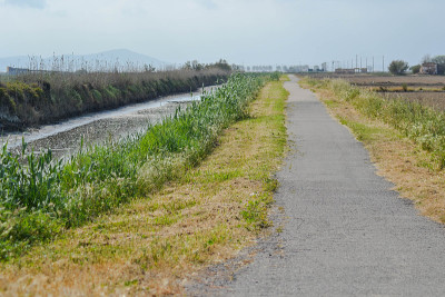 埃布罗三角洲的运河和公路