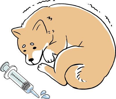 线条艺术插图的日本柴犬谁是生病，颤抖和卷起来