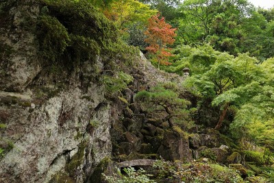 日本秩父山景观