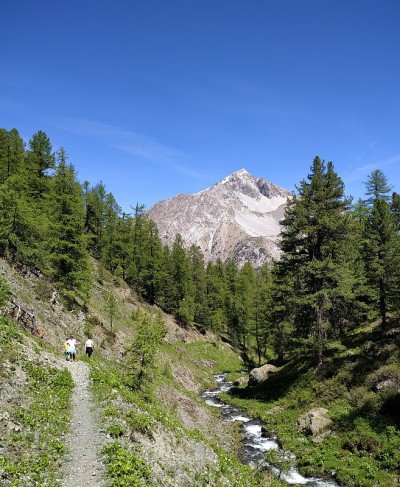 在阿尔卑斯山徒步旅行