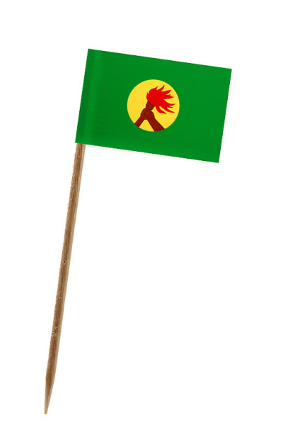 扎伊尔旗