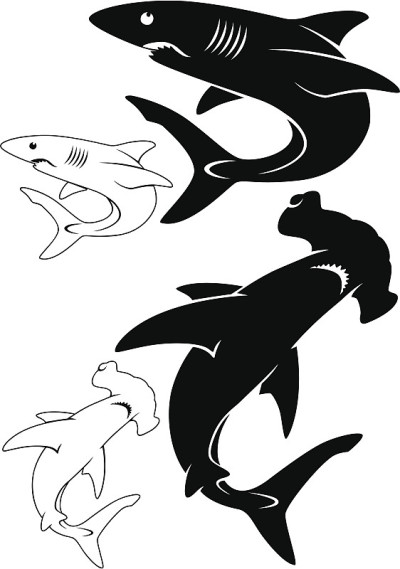502