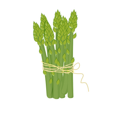 芦笋束矢量插图。