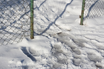 雪中的旧栅栏