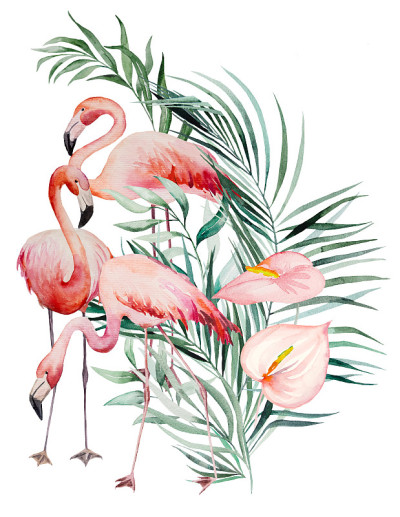 水彩粉红火烈鸟，热带树叶和花朵框架孤立的插图