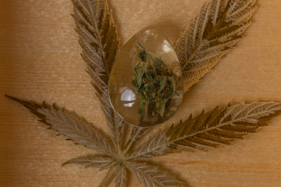 旧的大麻花叶子在玻璃下小盒子
