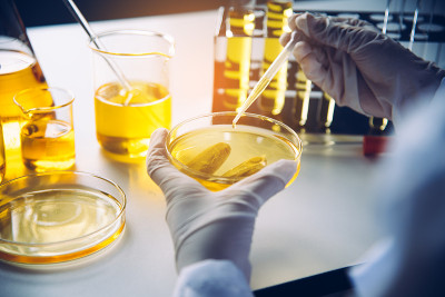 设备和科学实验油灌科学家在实验室用试管黄作研究。