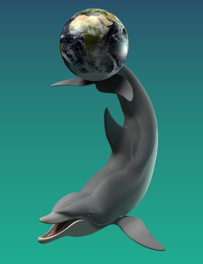 海豚和地球玩耍