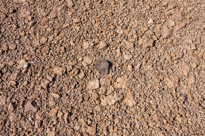 Chondrite Meteorite L Type as found, a piece of ro