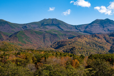 日本北海道知床山秋叶