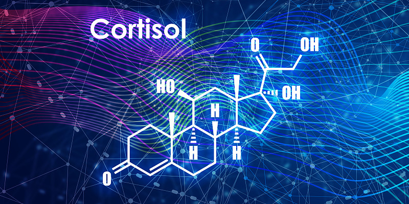 类固醇激素皮质醇