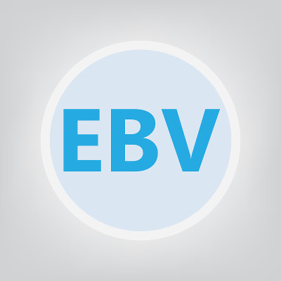 EBV(爱泼斯坦-巴尔病毒)首字母缩写