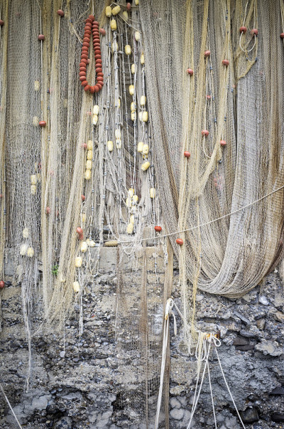 Fishing net hangup. Color image
