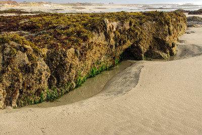 桑迪beachA大岩石露头
