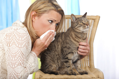 拿着猫和手帕的女人