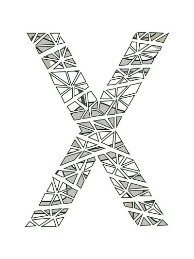 字母X花设计。