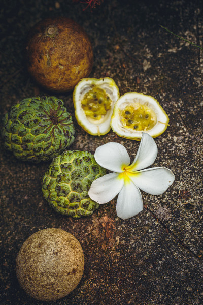 的静物