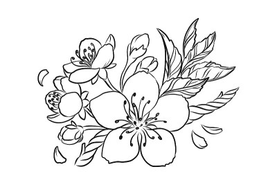 樱花向量线形插图。樱花春天手绘素描，用于季节性促销，促销，浪漫贺卡，海报，横幅，印刷。孤立的没有背景