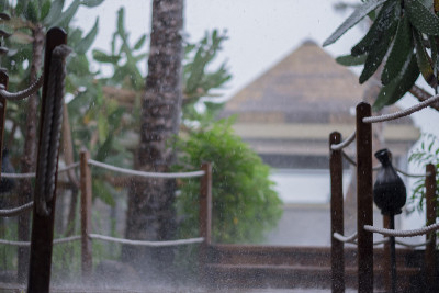 雨