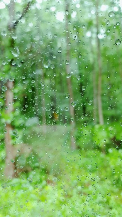 雨滴