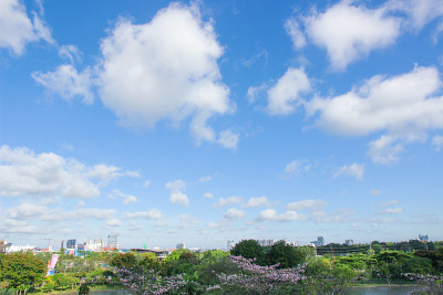 Chatuchak公园的城市