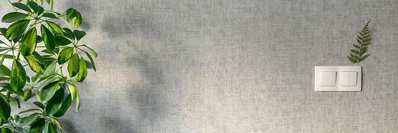 灰色的墙壁上有塑料电灯开关和一株室内植物。一根干燥的蕨类树枝被用作装饰元素。关于横幅背景的室内主题