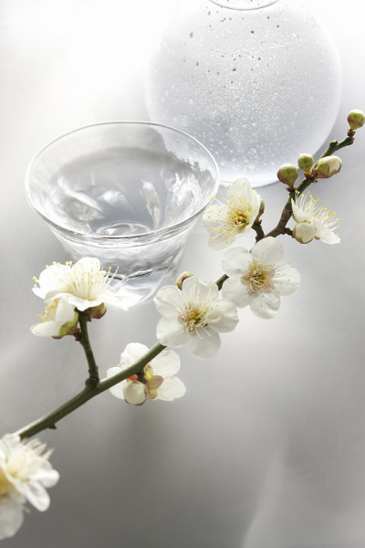 清酒梅花