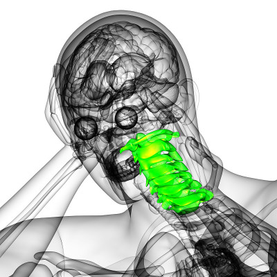 颈椎的3d渲染医学插图