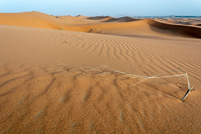 Merzouga沙漠