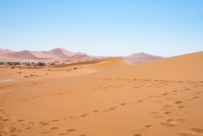 风景优美的Sossusvlei和Deadvlei，粘土和盐田被雄伟的沙丘包围。纳米比亚Naukluf