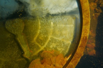 Famous wreck ship Fujikawa maru in Truk lagoon