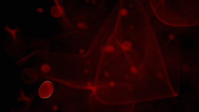 人体科学细菌、病毒和红血球感染人体静脉中的血细胞。生物病毒感染血细胞和免疫概念三维渲染