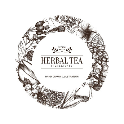 复古卡片设计与手绘茶素描。