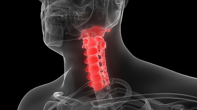 人体骨骼系统脊柱颈椎解剖三维渲染