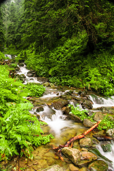 高山流水