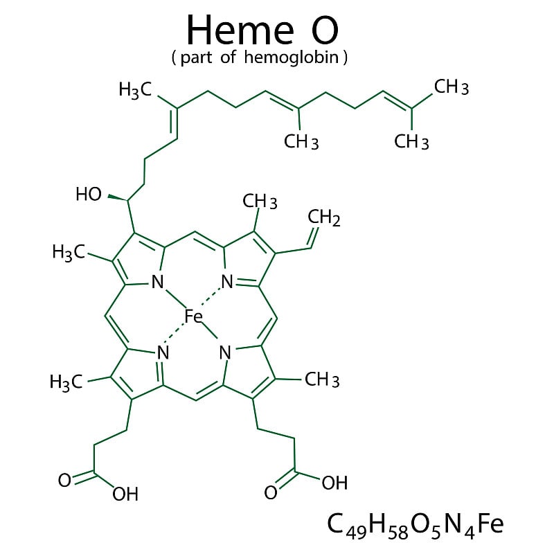 血红素O化学式。血红蛋白的一部分。分子结构。有机化合物。矢量插图。股票的形象。