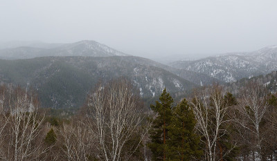阿尔泰山麓