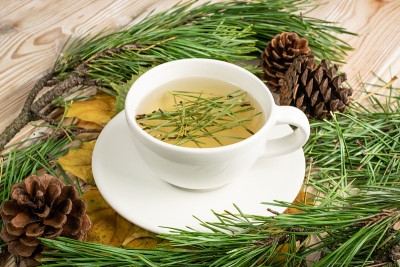松针茶，冬季健康维生素C饮料